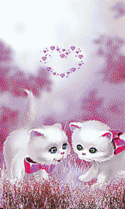 Gif animé amour chat